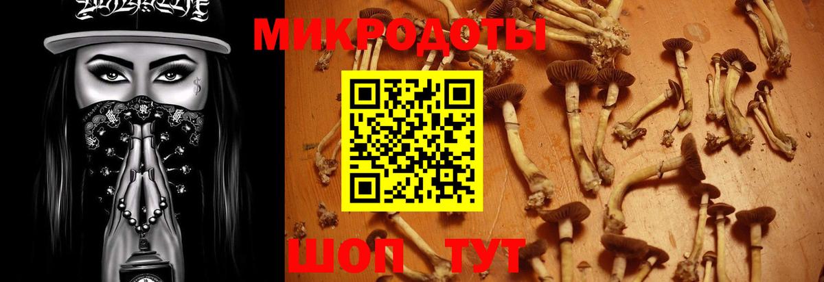 Псилоцибиновые грибы Magic Shrooms Павлово
